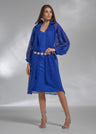 #204196 /*azul*/
